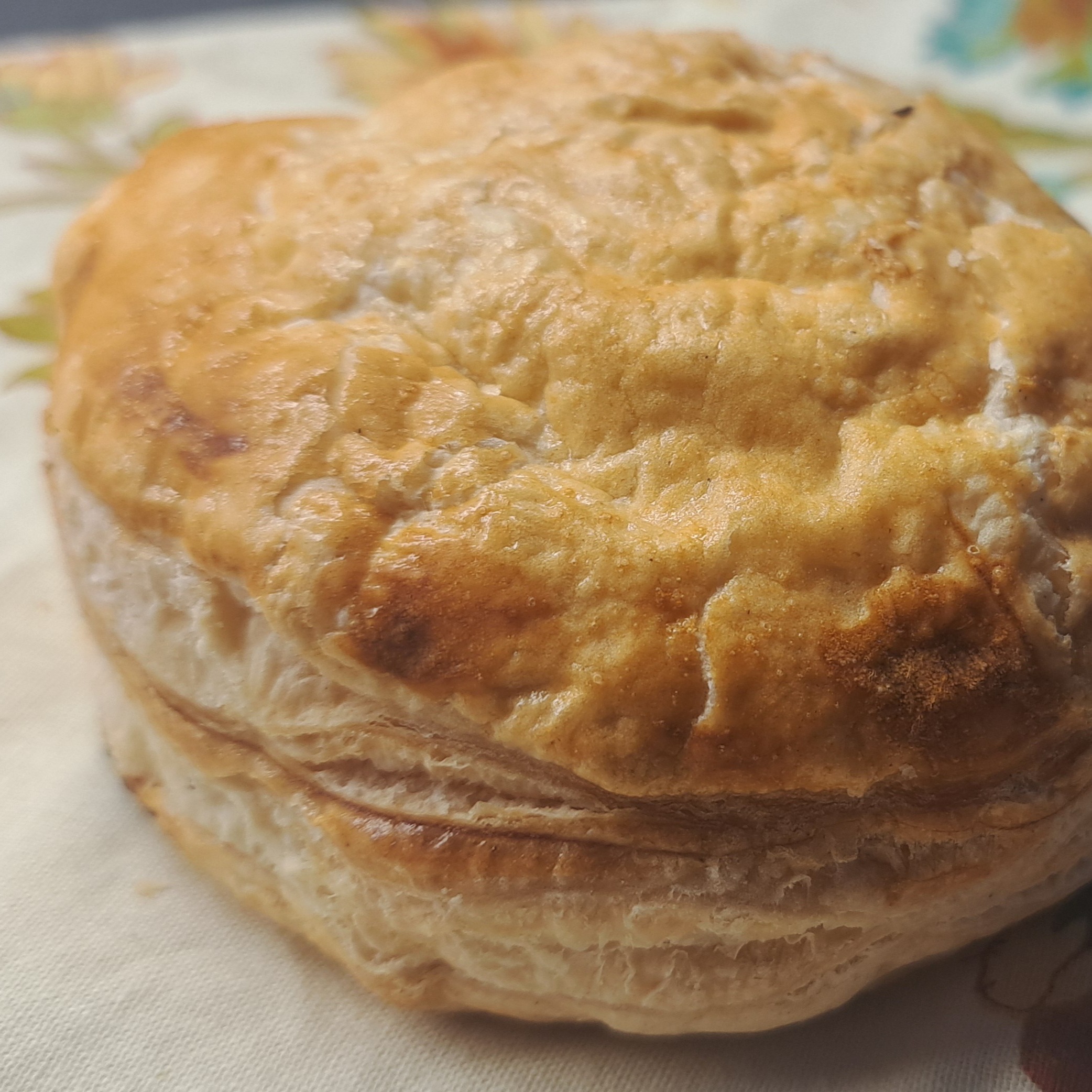 Pastelillo De Carne